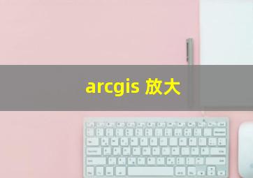 arcgis 放大